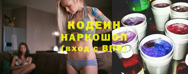 дживик Бородино