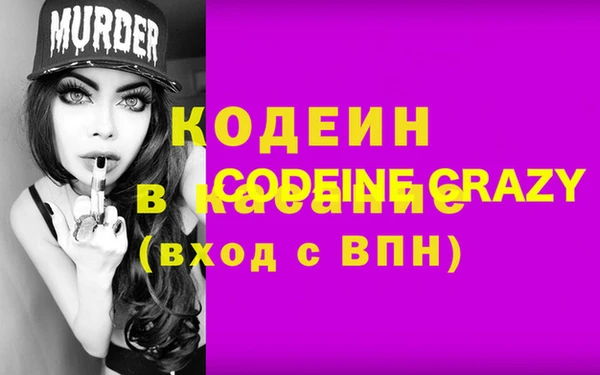 дживик Бородино