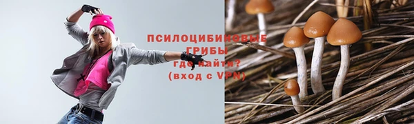 дживик Бородино