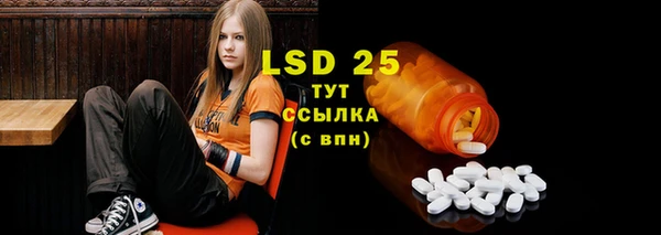 дживик Бородино