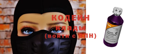 дживик Бородино