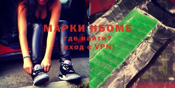 дживик Бородино