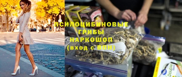 дживик Бородино