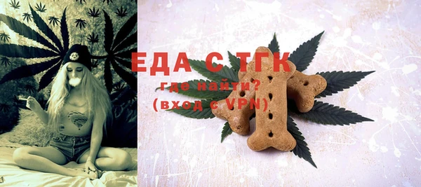 дживик Бородино