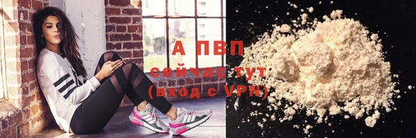 дживик Бородино