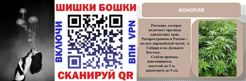 kraken онион  Гурьевск  Конопля SATIVA & INDICA  даркнет состав  дарнет шоп 